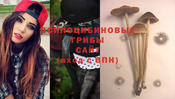 марки nbome Баксан