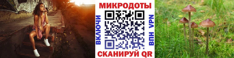 Галлюциногенные грибы мухоморы  где найти   Лагань 